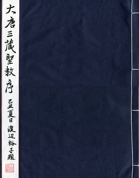 游行近處 游行近處